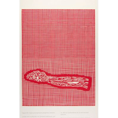 nr. 13 IUOEYA
