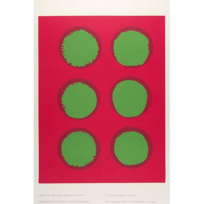 nr. 21 IUOEYA