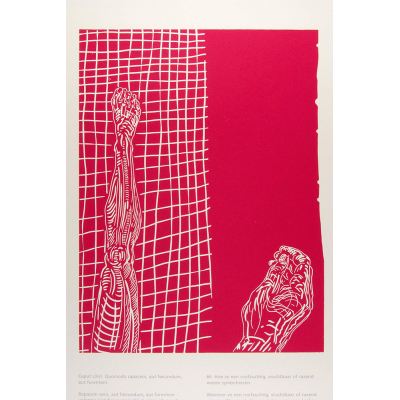 nr. 66 IUOEYA